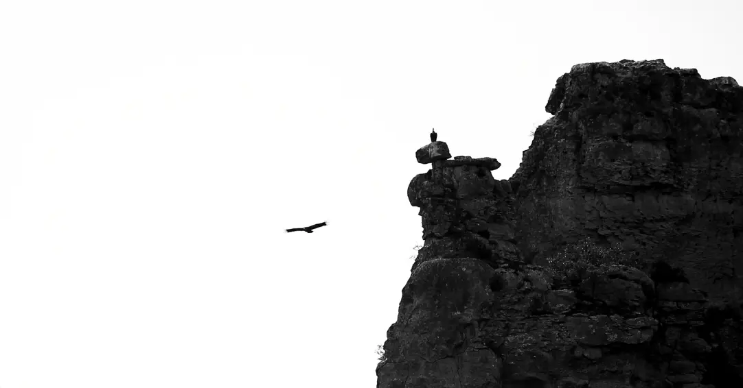 buitres 1 4000 2.8 iso100.jpg