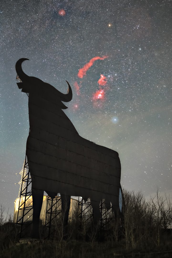 toro orion villalobar