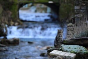 iso100 1 40 f2.8